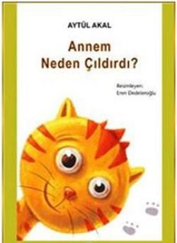 Annem Neden Çıldırdı - Tudem Yayınları Kitap