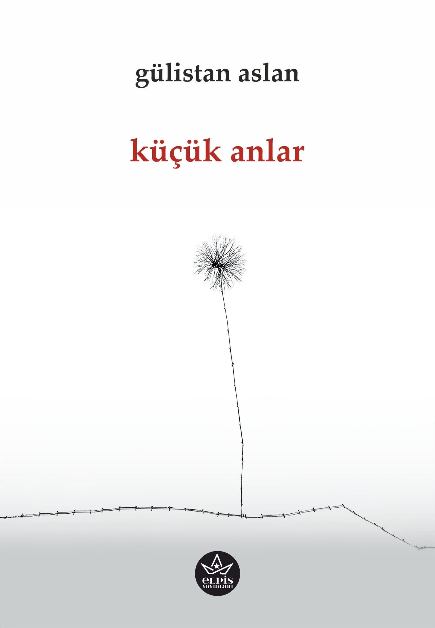 Küçük Anlar - Elpis Yayınları Kitap