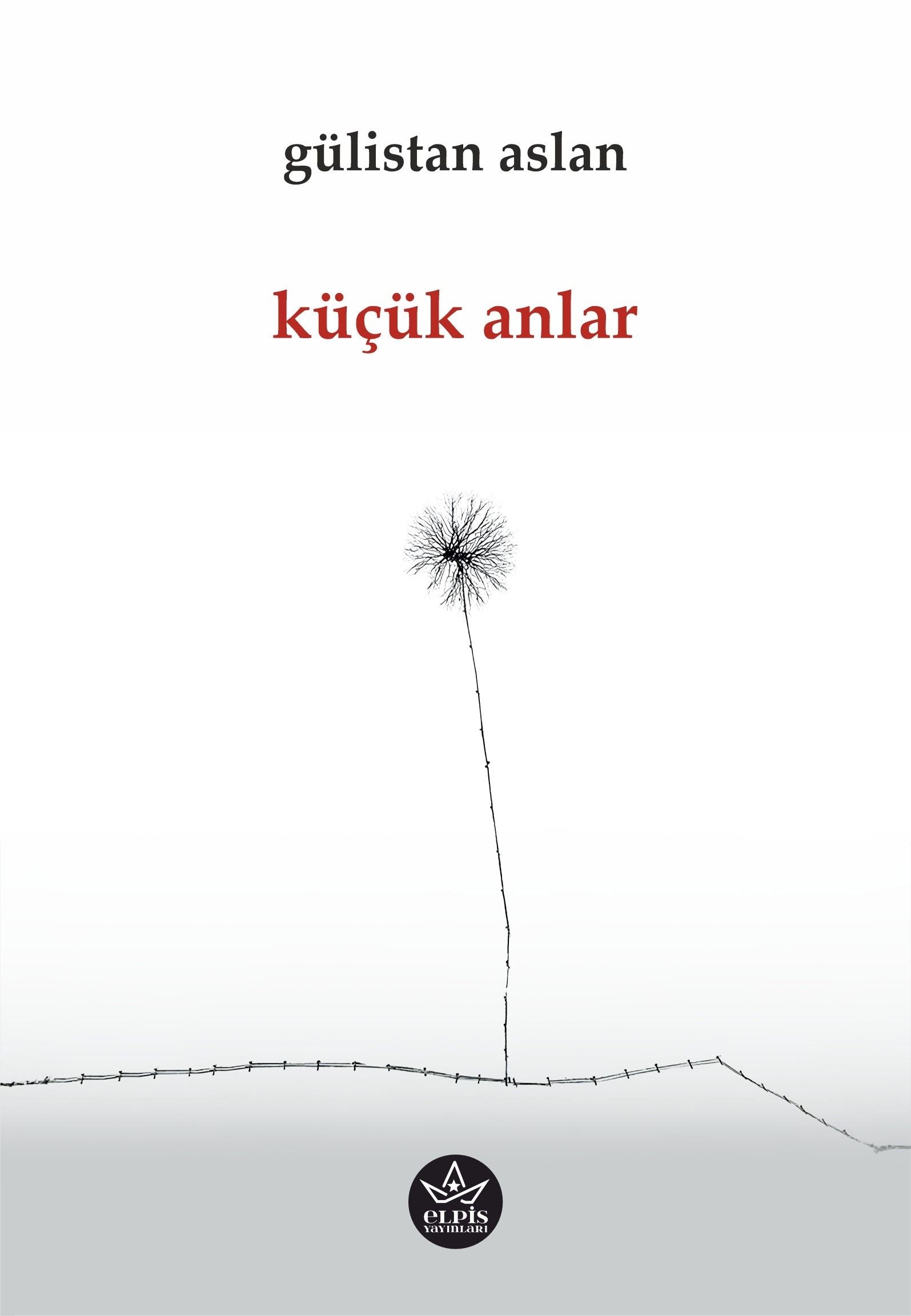 Küçük Anlar - Elpis Yayınları Kitap