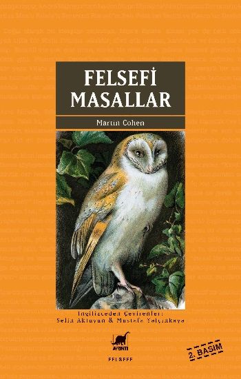 Felsefi Masallar - Ayrıntı Yayınları Kitap