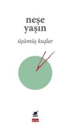 Üşümüş Kuşlar - Ayrıntı Yayınları Kitap
