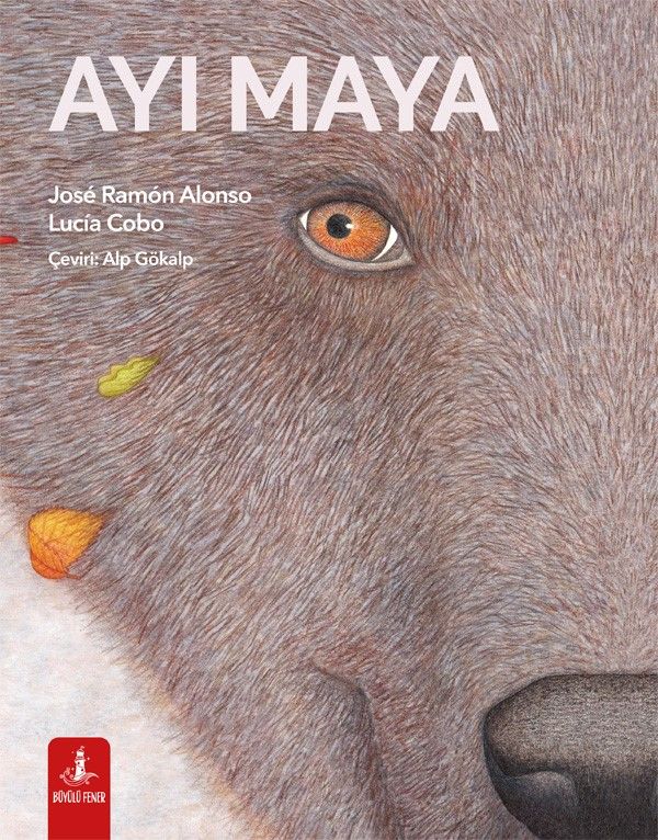 Ayı Maya - Büyülü Fener Yayınları Kitap