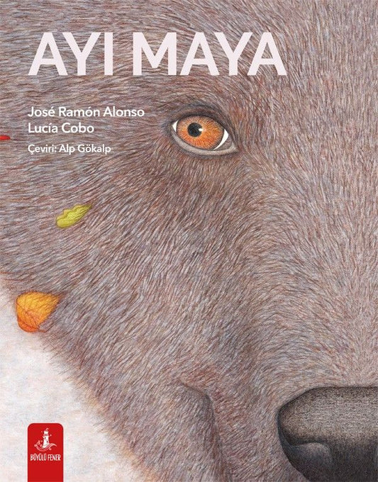 Ayı Maya - Büyülü Fener Yayınları Kitap