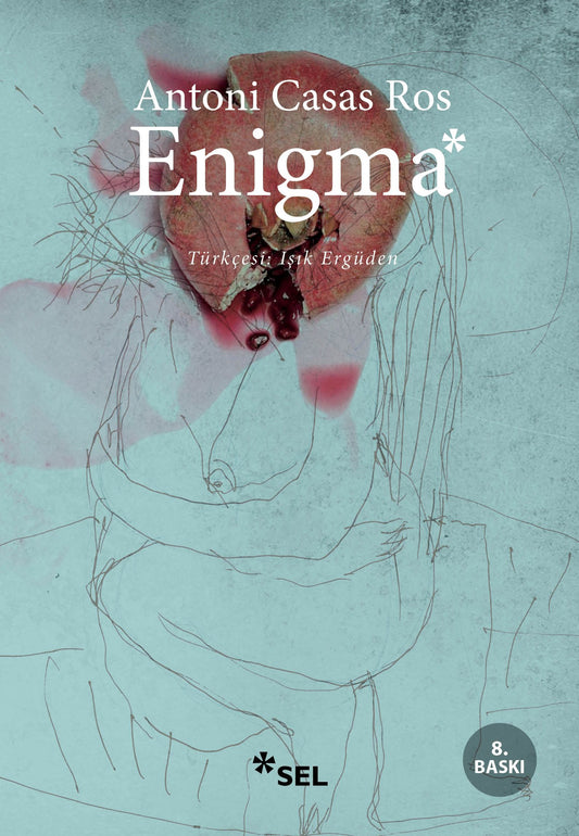 Enigma Antoni Casas Ros Türkçe kitap kapağı