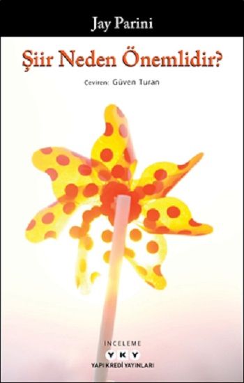 Şiir Neden Önemlidir? - Yapı Kredi Yayınları Kitap