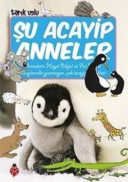 Şu Acayip Anneler - Uğurböceği Yayınları Kitap