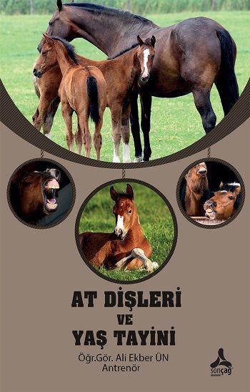 At Dişleri ve Yaş Tayini - Sonçağ -Akademik Kitaplar Kitap