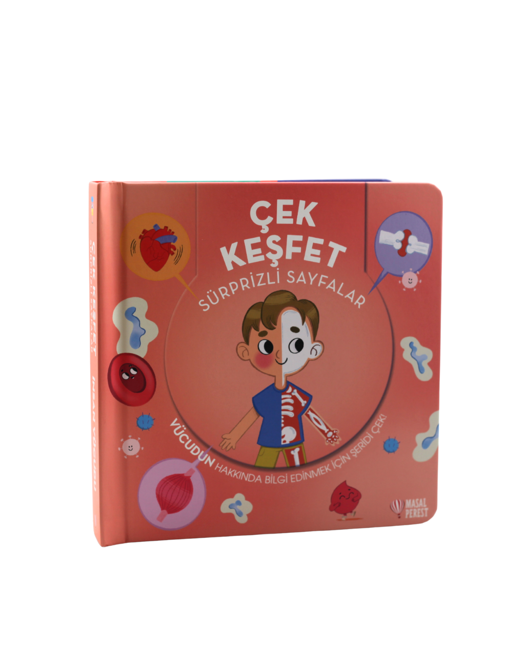 Çek Keşfet İnsan Vücudu - Masalperest Kitap