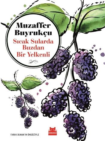 Sıcak Sularda Buzlardan Bir Yelkenli - Kırmızı Kedi Yayınevi Kitap