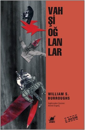 Vahşi Oğlanlar - Ayrıntı Yayınları Kitap