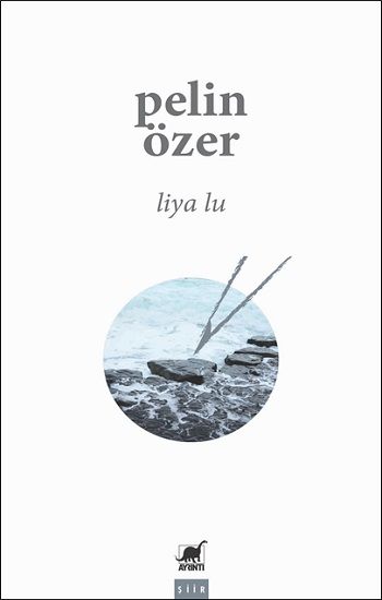 Liya Lu - Ayrıntı Yayınları Kitap