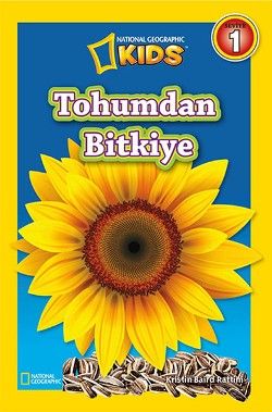 Tohumdan Bitkiye - Beta Kids Kitap