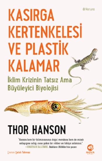 Kasırga Kertenkelesi ve Plastik Kalamar - Nova Kitap Kitap