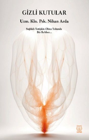 Gizli Kutular - Luna Yayınları Kitap