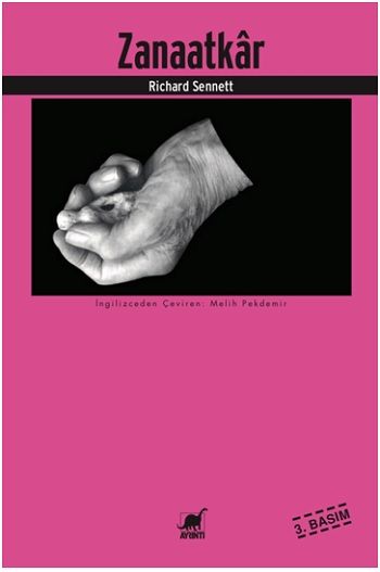 Zanaatkar - Ayrıntı Yayınları Kitap