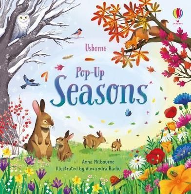 Pop-up Seasons - Usborne Publishing Kitap