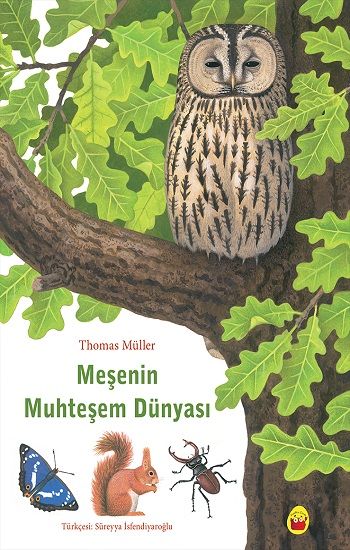 Meşenin Muhteşem Dünyası - Kuraldışı Yayınevi Kitap