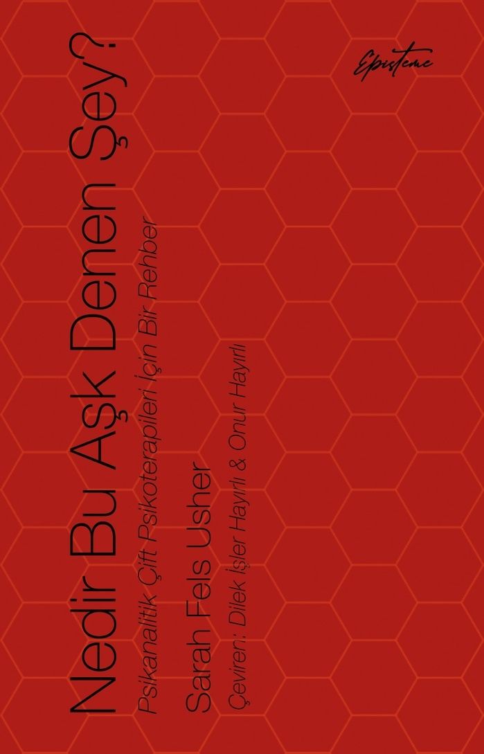 Nedir Bu Aşk Denen Şey? - Episteme Yayınları Kitap