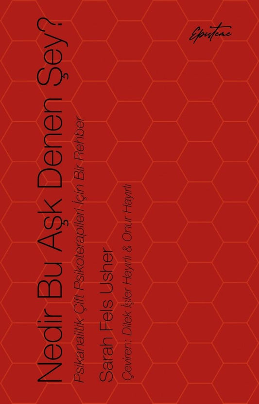 Nedir Bu Aşk Denen Şey? - Episteme Yayınları Kitap