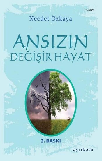 Ansızın Değişir Hayat - Ayrıkotu Yayınları Kitap