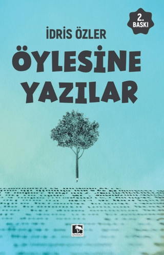 Öylesine Yazılar - Çınaraltı Yayınları Kitap
