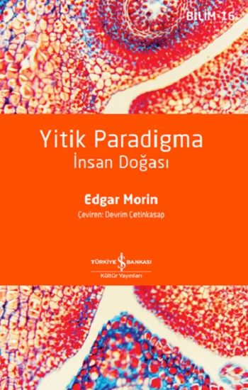 Yitik Paradigma – İnsan Doğası - İş Bankası Kültür Yayınları Kitap
