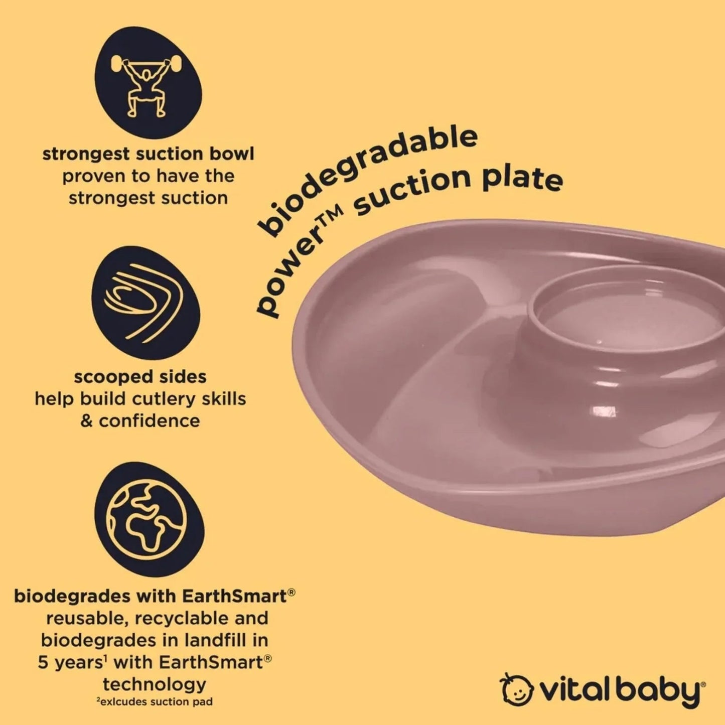 Vital Baby Nourish Power Suction Plate - Natural Berry - mezetto ebebek ebebek