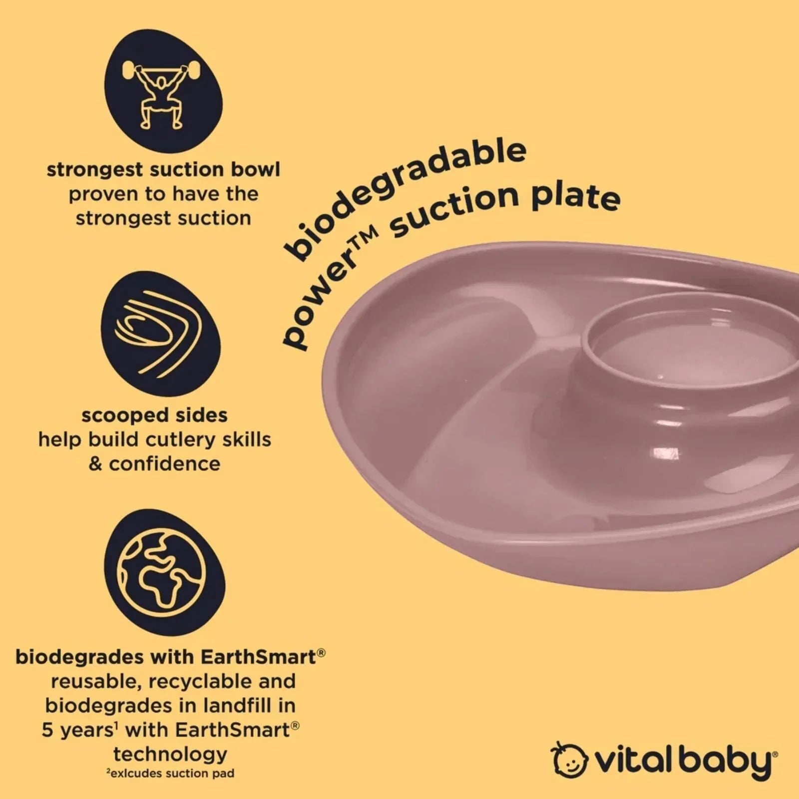 Vital Baby Nourish Power Suction Plate - Natural Berry - mezetto ebebek ebebek