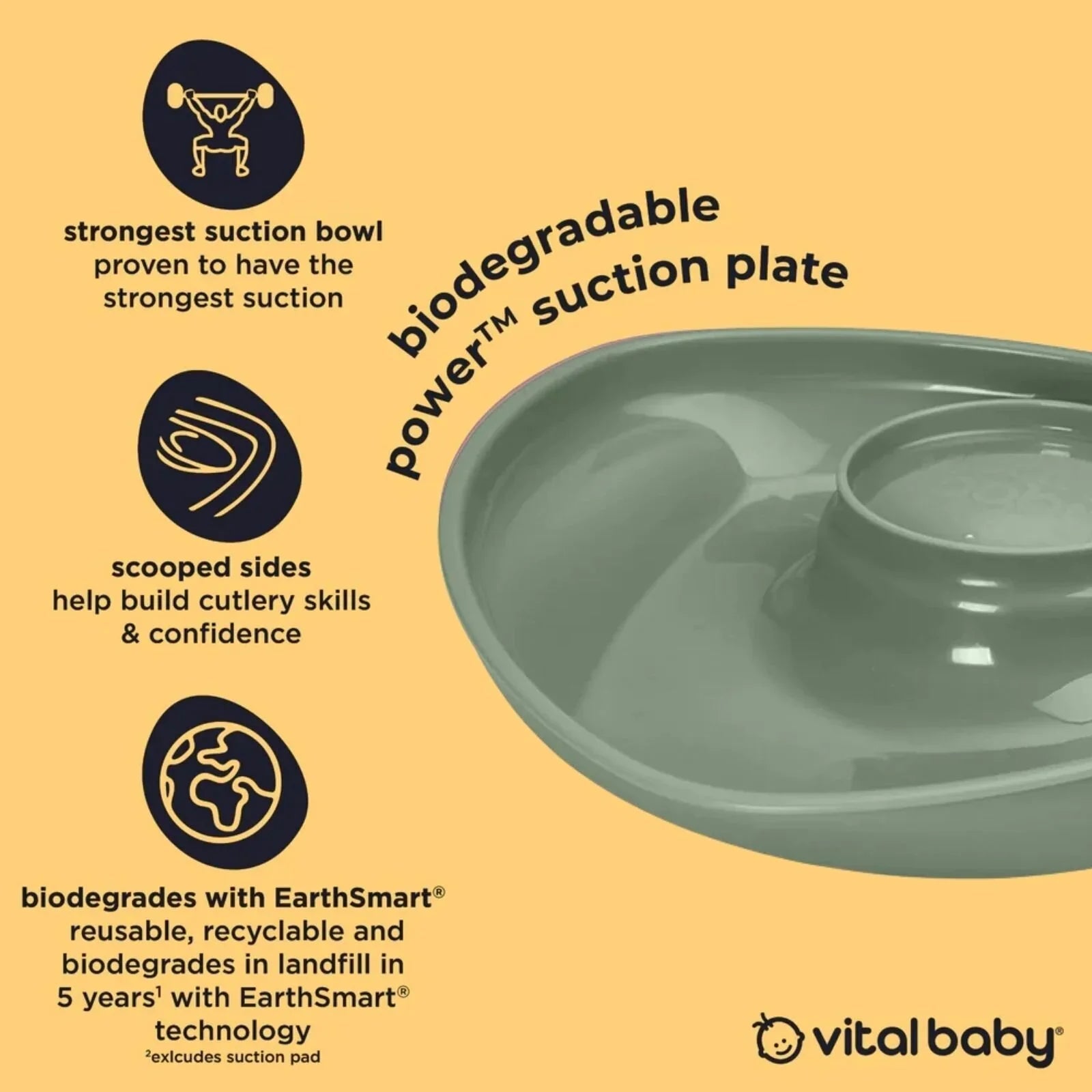 Vital Baby Nourish Power Suction Plate - Natural Moss - mezetto ebebek ebebek