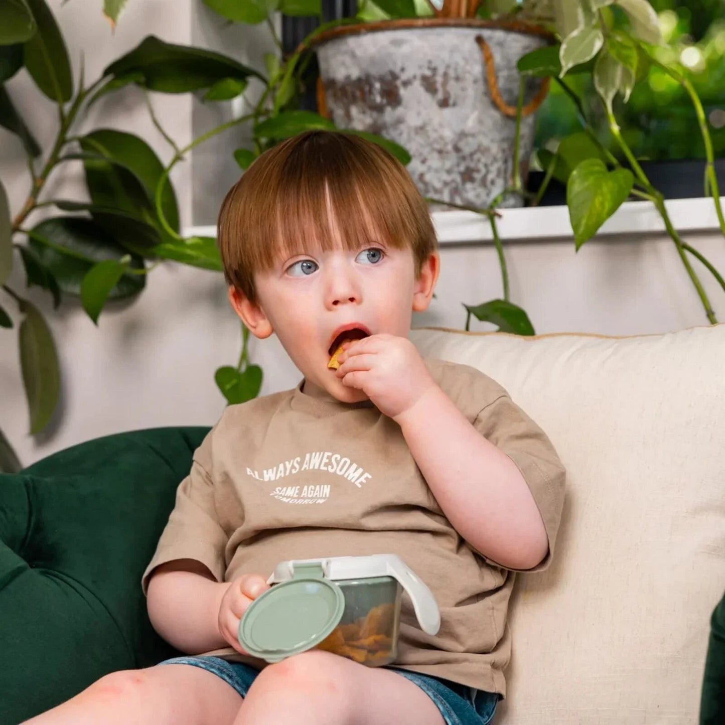 Vital Baby Nourish Snack On the Go - Natural Grape - mezetto ebebek ebebek