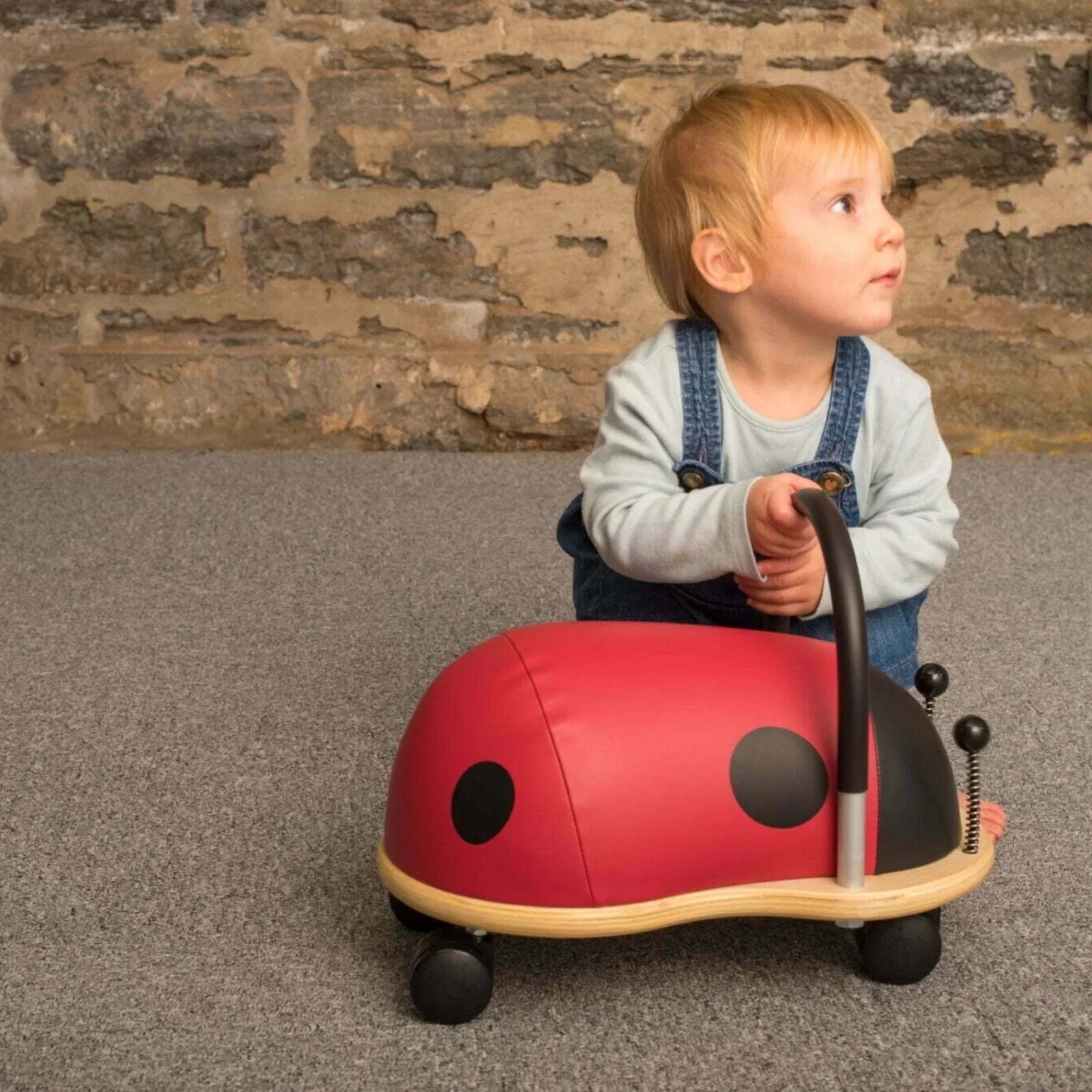 Wheely Bug Small Ride On - Ladybird - mezetto ebebek ebebek